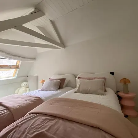 Au Vieux Bassin Apartman